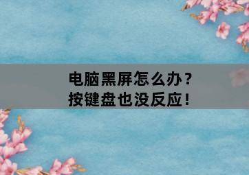 电脑黑屏怎么办?按键盘也没反应! 电脑黑屏怎么办?按键盘也没反应!-图片2